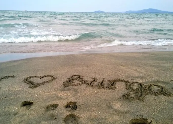 Appartement Center Gramophone With Private Parking *